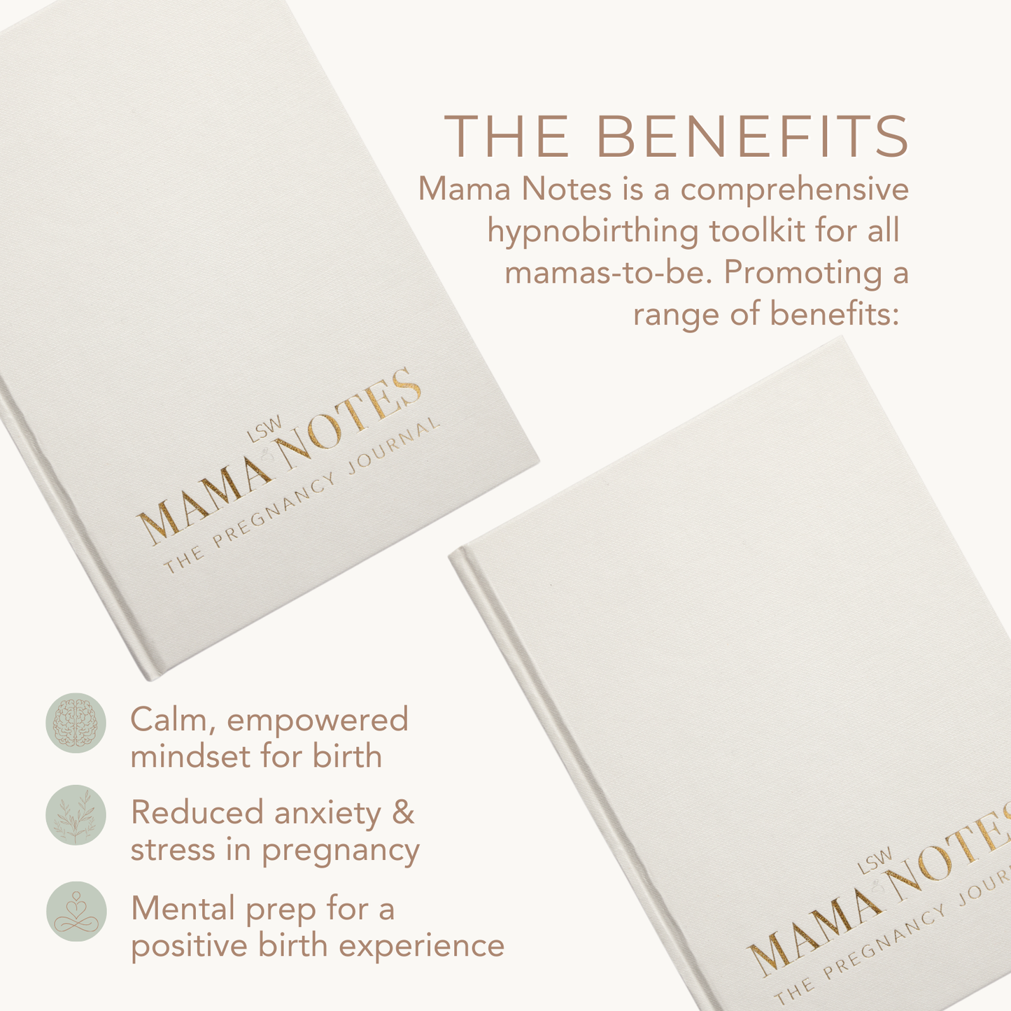 Mama Notes: The Pregnancy Journal