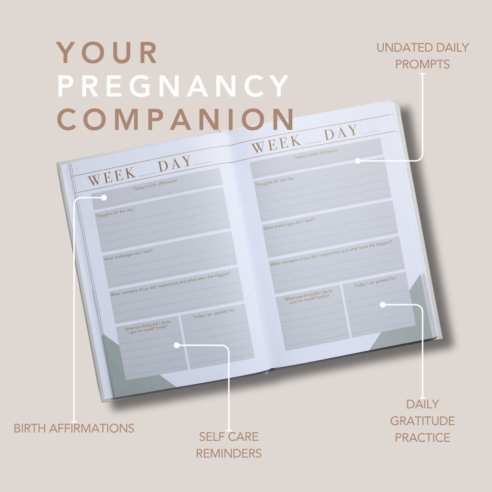 Mama Notes: The Pregnancy Journal