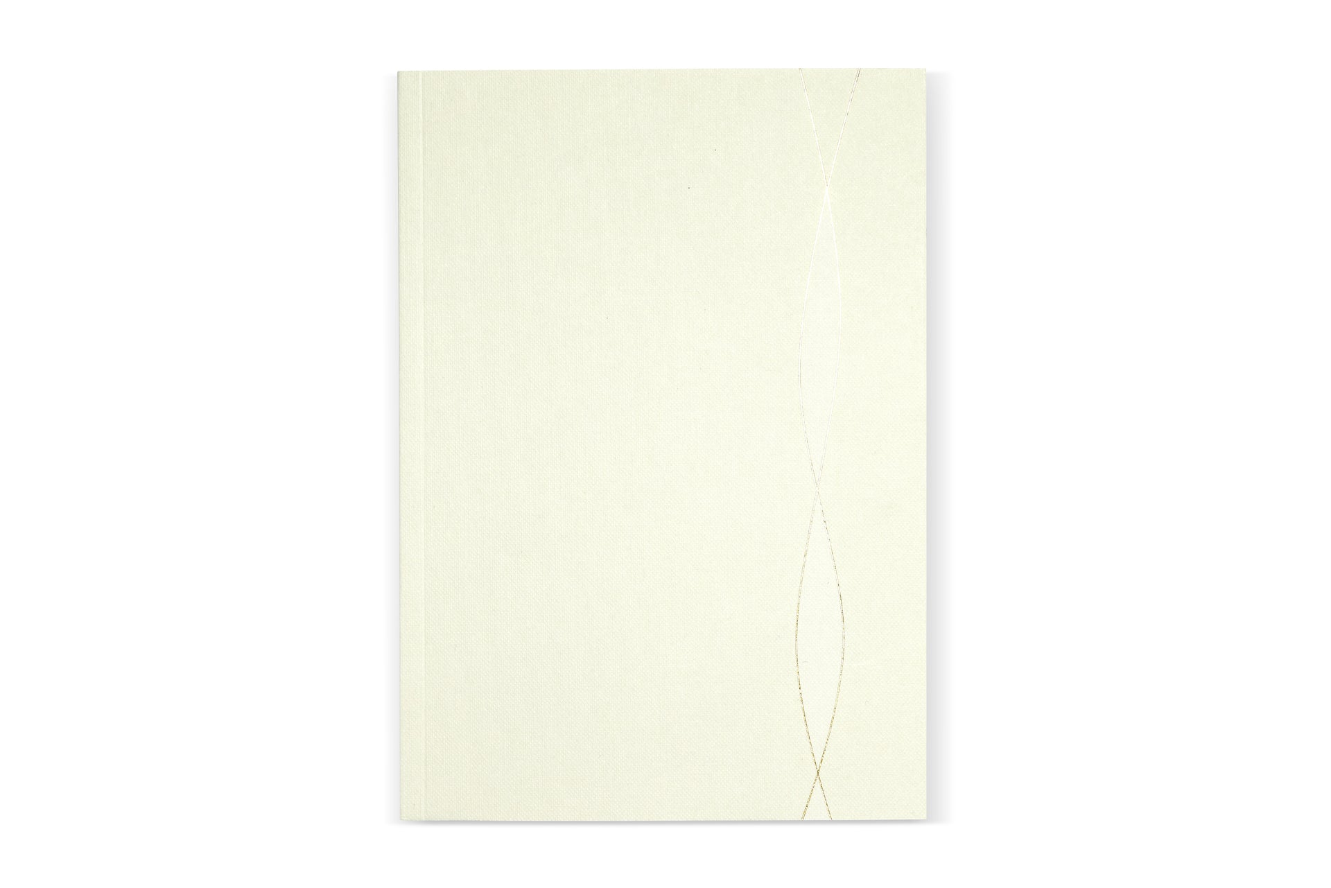 A5 Lined Notebook Mist