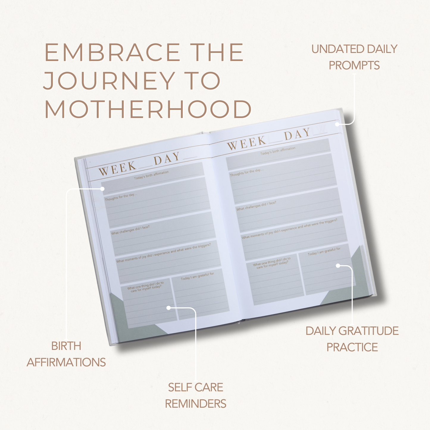 Mama Notes: The Pregnancy Journal