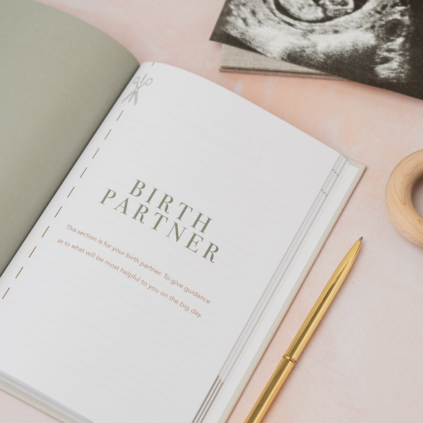 Mama Notes: The Pregnancy Journal